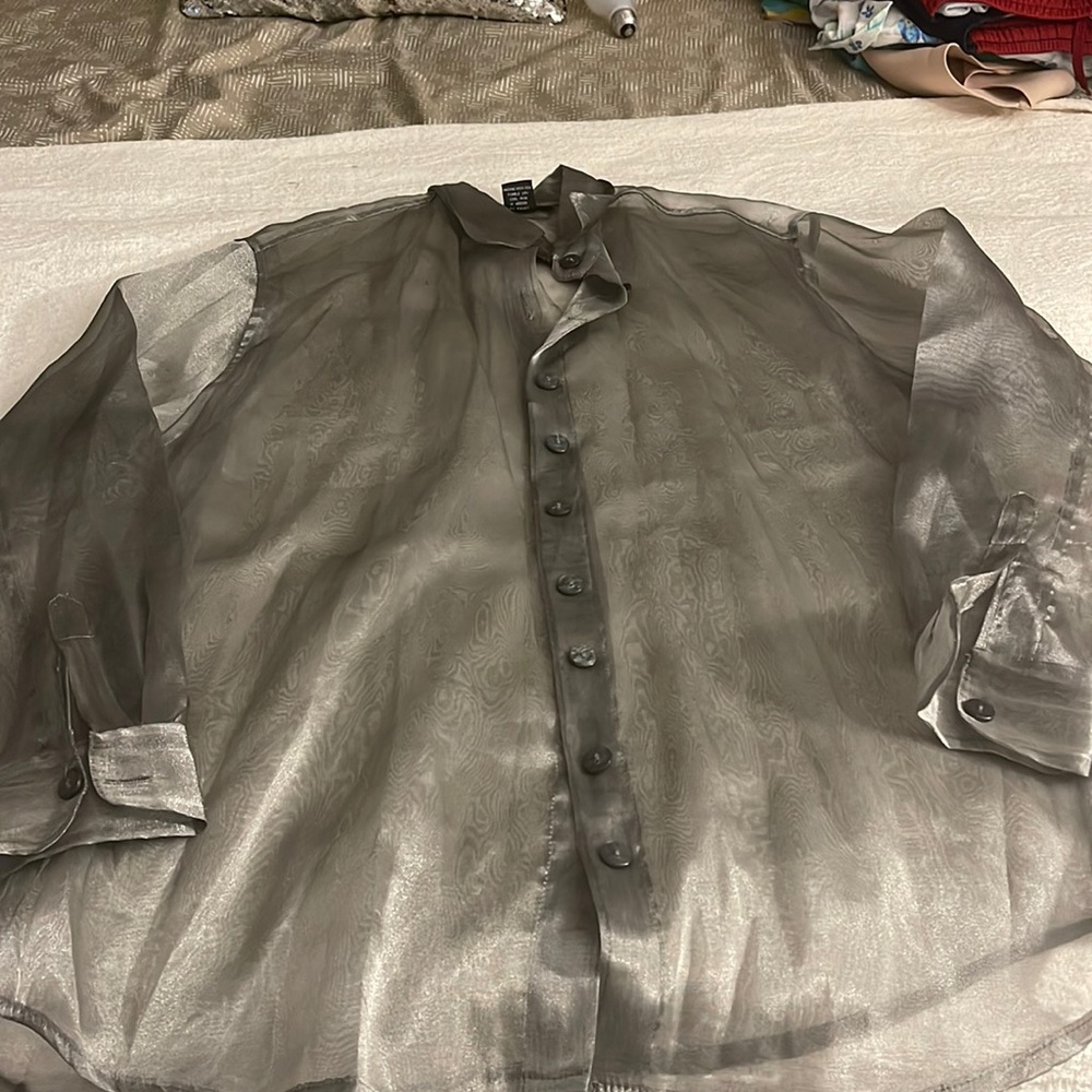 The Limited Sheer Blouse